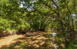 County Road 120, Coleman, TX 76834