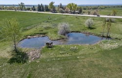 12672 N 75th St, Longmont, CO 80503
