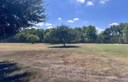 1298 BORGFELD RD, Schertz, TX 78154
