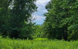 1073 Chapel Road, Bennington, VT 05201