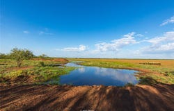 CR 252, Colorado City, TX 79512