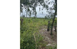 Kennedy Bridge Road, Register, GA 30452
