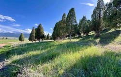 1691 Corder Circle, Soda Springs, ID 83276-5416