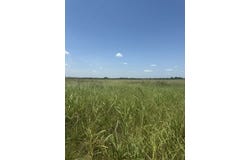 1262 CR 134 E, Burlington, TX 76519