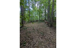 BURTON LAKE RD, CHATHAM, VA 24531