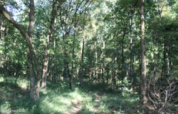 8420 Milne Way, Hernando, MS 38632