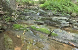 Two Brothers Rd., Lindside, WV 24951