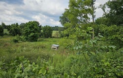 8475 Ross Road, Muir, MI 48860