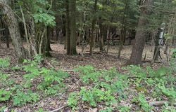 Deer Path lot: #12, Jefferson, NY 12093