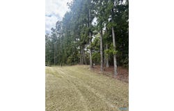 686 Mill Hill Road, Attalla, AL 35954