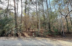 R032769 Gray Squirrel Drive, Brookeland, TX 75931