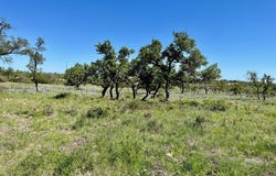 Jung Rd lot: 7, Harper, TX 78631