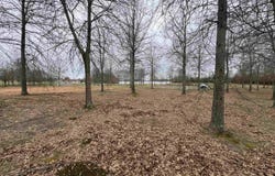 30R River Birch Drive, Guy, AR 72061