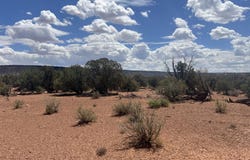 3801 Tonto Road, Snowflake, AZ 85937