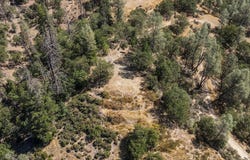 320 Lakeview Terrace, Lewiston, CA 96052