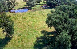 290 CR 409, Cherokee, TX 76832