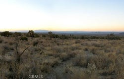 223 Avenue Y14, Llano, CA 93544