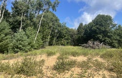 6367 N Dune Grass Trail, Hart, MI 49420