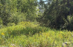 On Holmes Road, Ashland, WI 54806