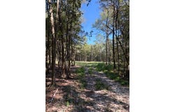 Good Hope Rd, Dozier, AL 36028