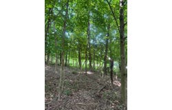 Ripple Rd, Mc Keesport, PA 15131