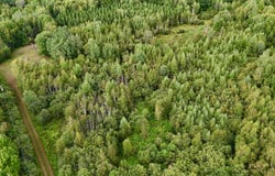 Off CTH J, Irma, WI 54442