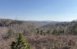 fawn Road, Harriet, AR 72639-9998