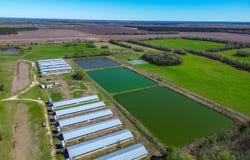 0 Hwy 5, Browns, AL 36759