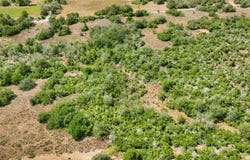 Turkey Hollow, Luling, TX 78648