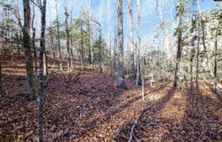W S Wilson Boulevard, Columbia, SC 29203