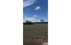AMISTAD DR., HARLINGEN, TX 78550