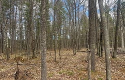 PINE BREEZE WAY lot: 5, Eagle River, WI 54521