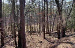 17 Southridge Drive, Mount Ida, AR 71957