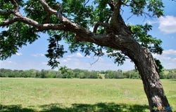 1070 Muehr Road, Weimar, TX 78962