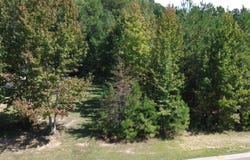 111 Irish Moss Drive, Williamston, SC 29697