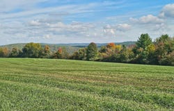 Learn Road, Rathbone, NY 14820