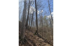 Morris Cemetery Road, Hyden, KY 41749