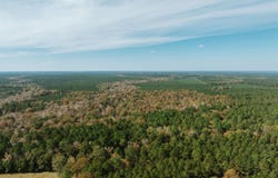 81 Road, Tinsman, AR 71631