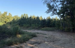 Edge Road, Thornton, AR 71761