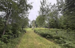 5886 M-65, Hale, MI 48739