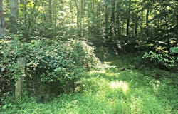LOCUST GROVE Drive, PORT TOBACCO, MD 20677