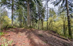 NE FINALBURG Rd, LaCenter, WA 98629
