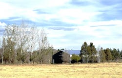 116 Derby Rd, Bellevue, ID 83313