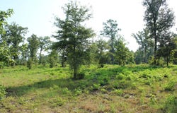 Germantown Road, Minden, LA 71055