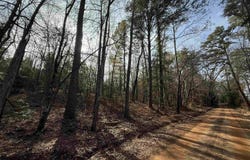 CR 2733, Marietta, TX 75566
