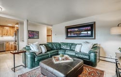 365 Salt Lick Circle, SILVERTHORNE, CO 80498