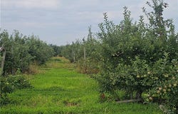 3100 Densmore Road, Albion, NY 14411