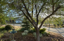 20000 Bald Mountain Drive, Tehachapi, CA 93561