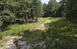 1028 Red Wings Road, Bismarck, AR 71929-0000
