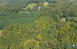 Bellevue Road, Halifax, VA 24588